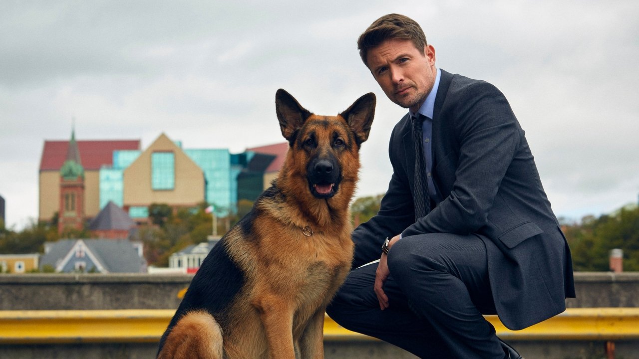 Poster della serie Hudson & Rex