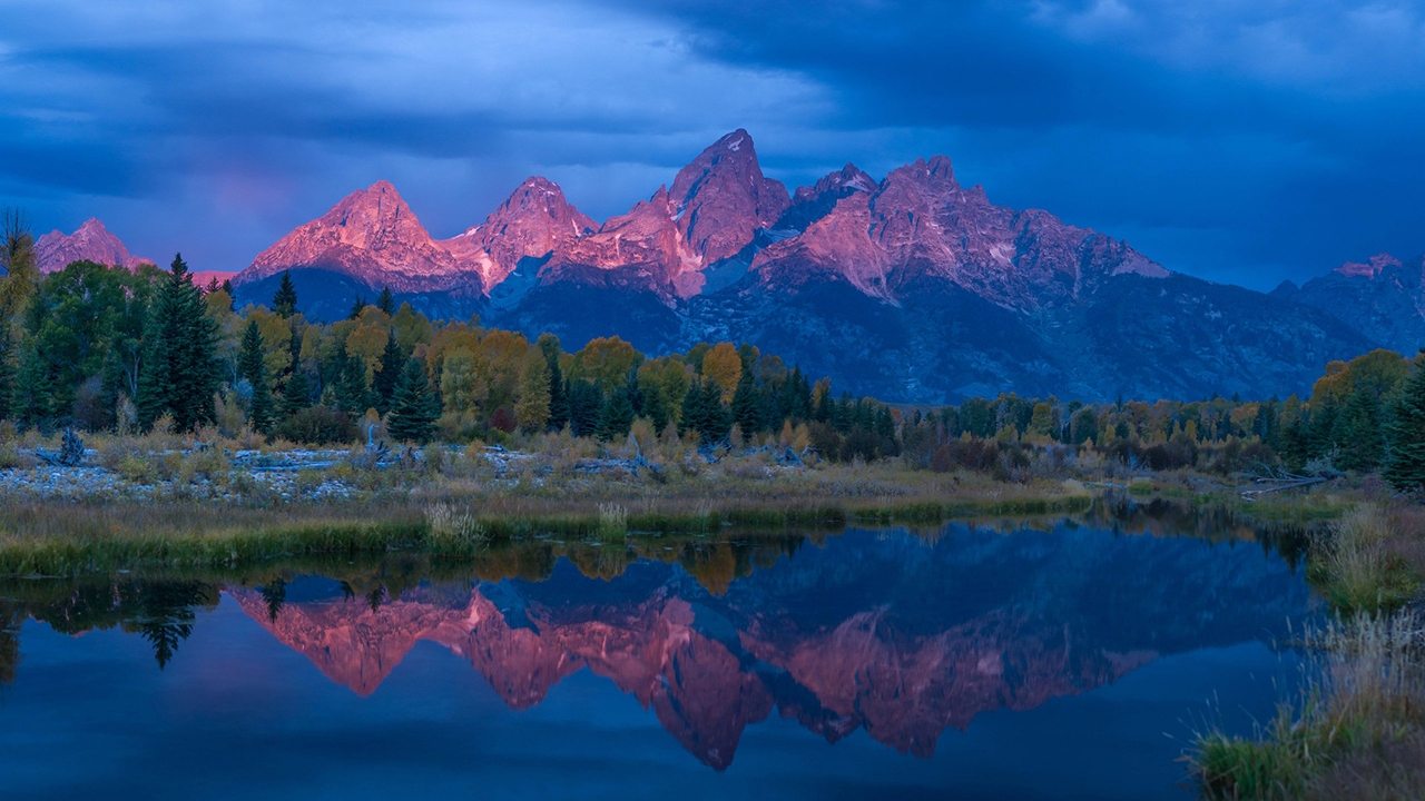 Poster della serie Wild Yellowstone
