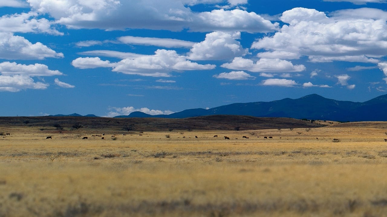 Poster della serie Building Off the Grid: Big Sky Ranch