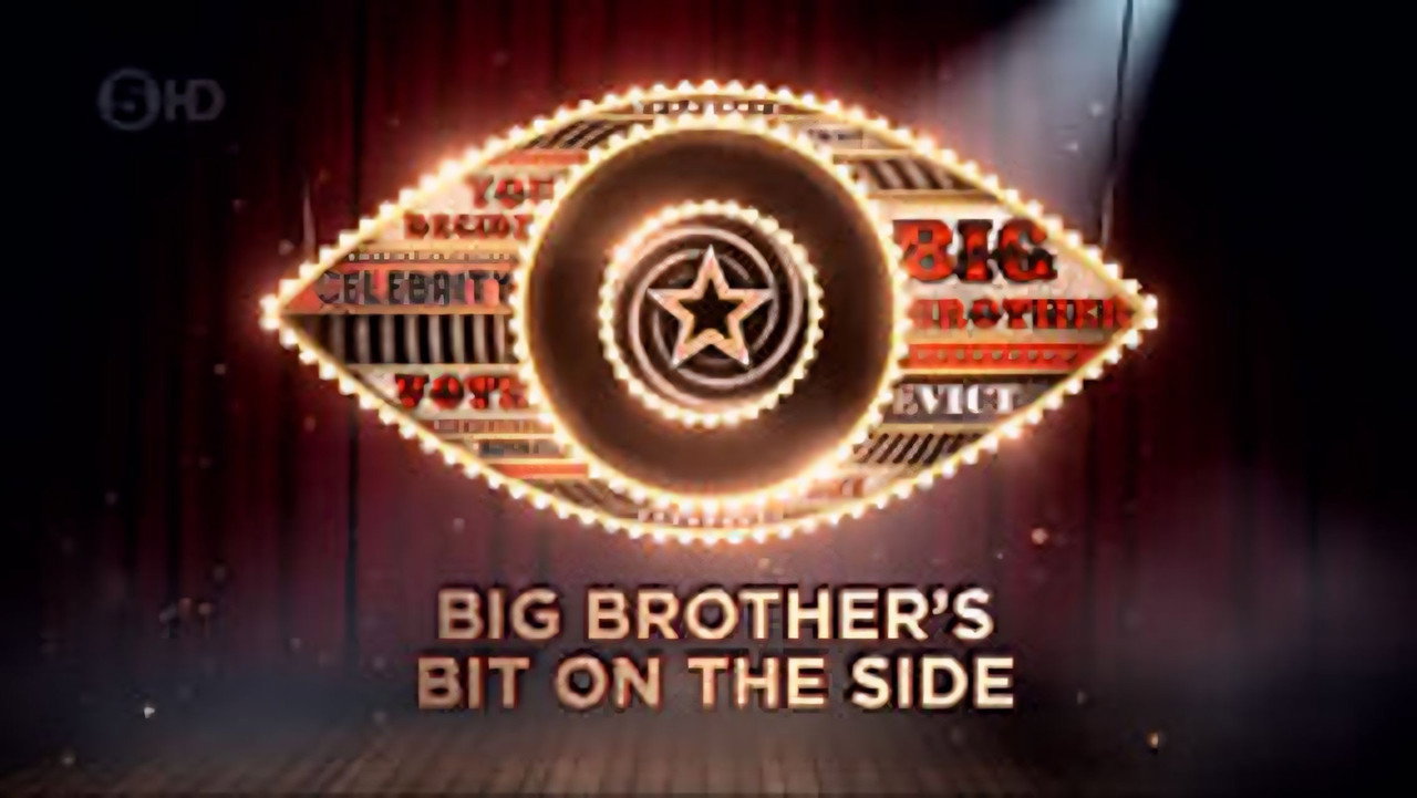 Poster della serie Celebrity Big Brother's Bit on the Side