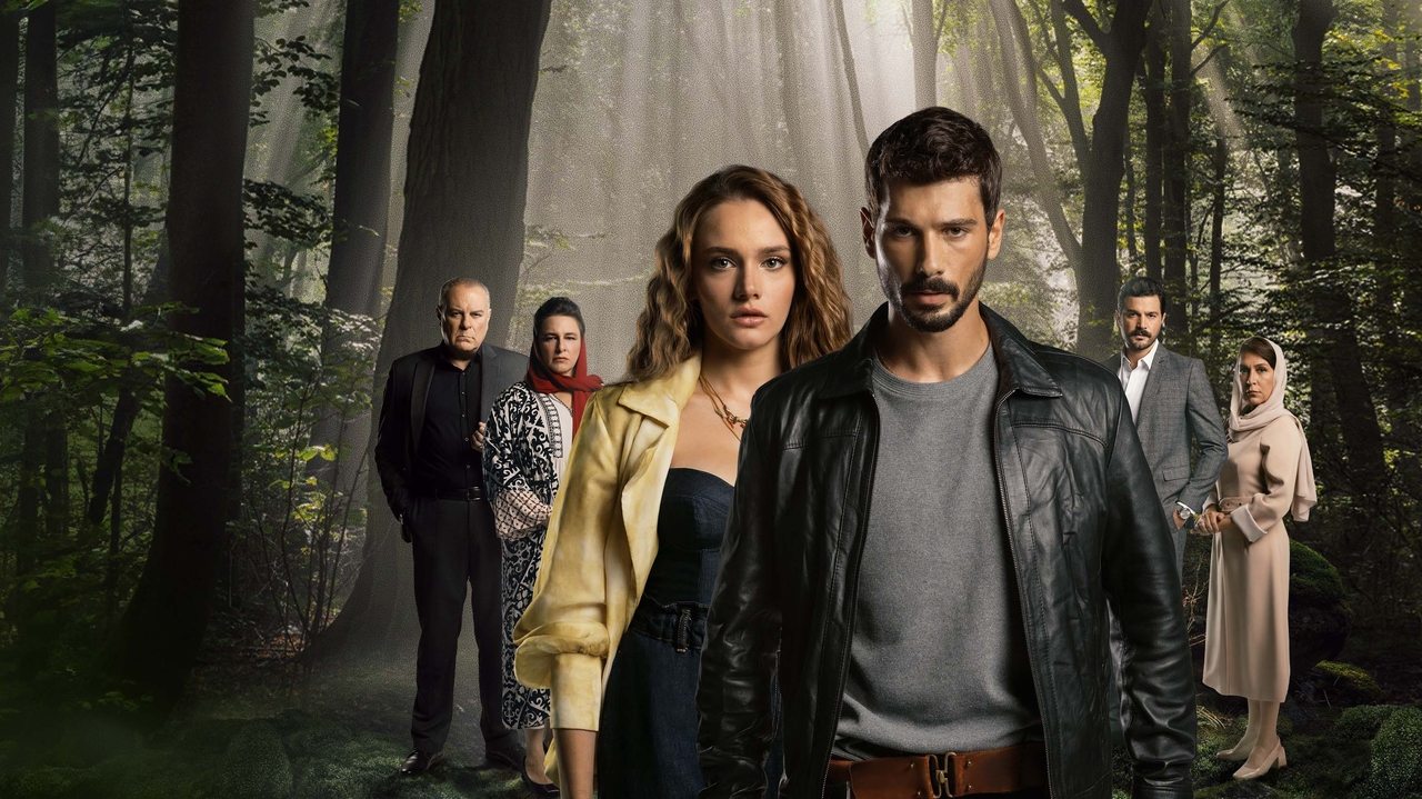 Poster della serie Boundless Love