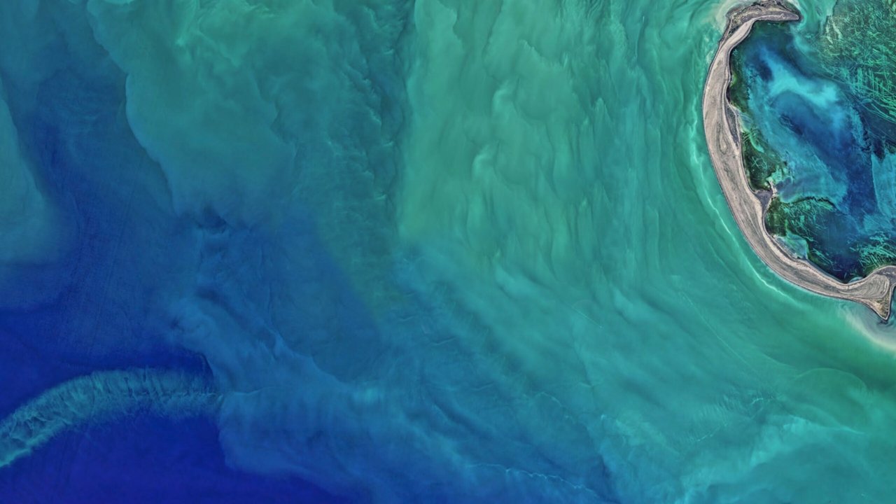 Poster della serie The Earthshot Prize: Repairing Our Planet