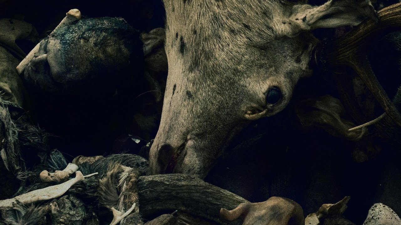 Poster della serie Oderbruch