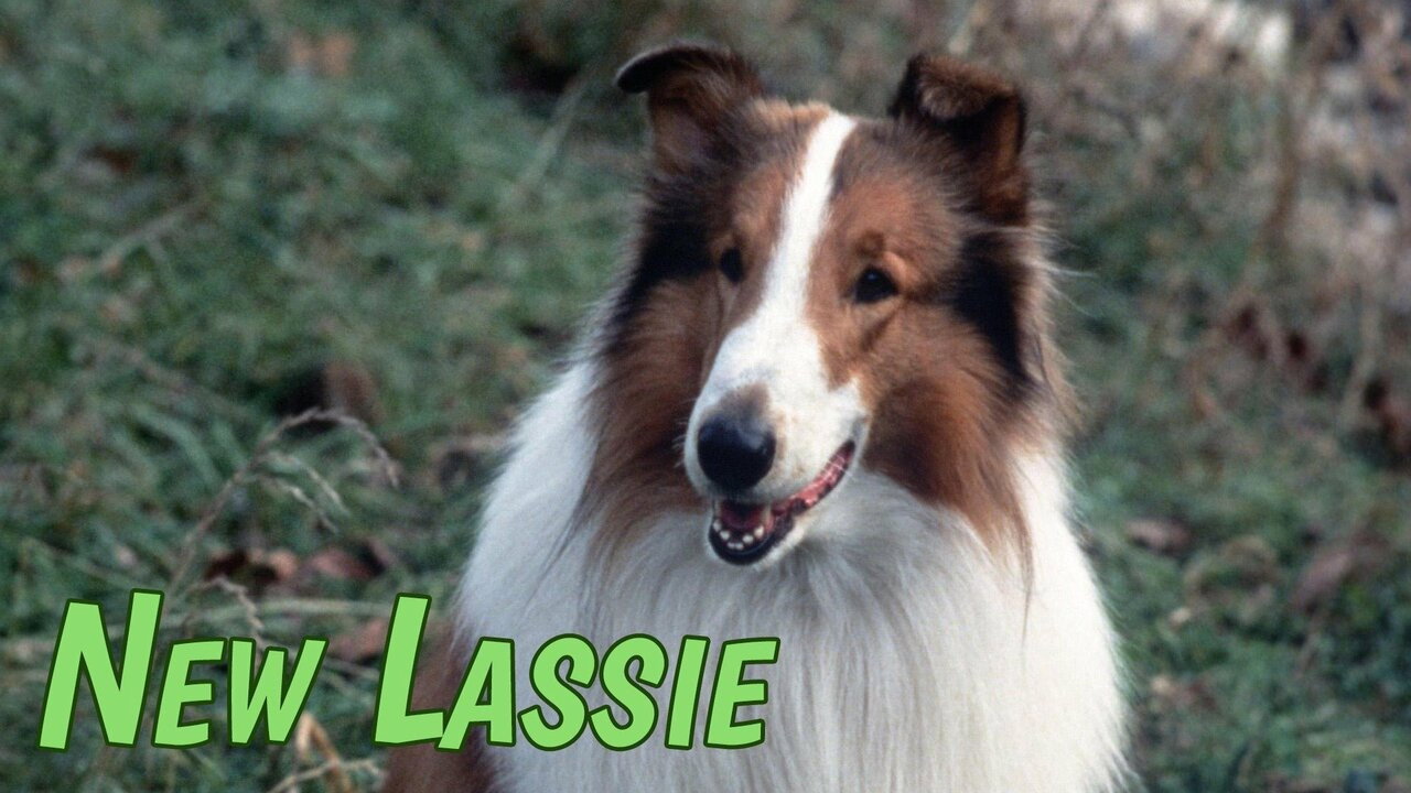 Poster della serie The New Lassie