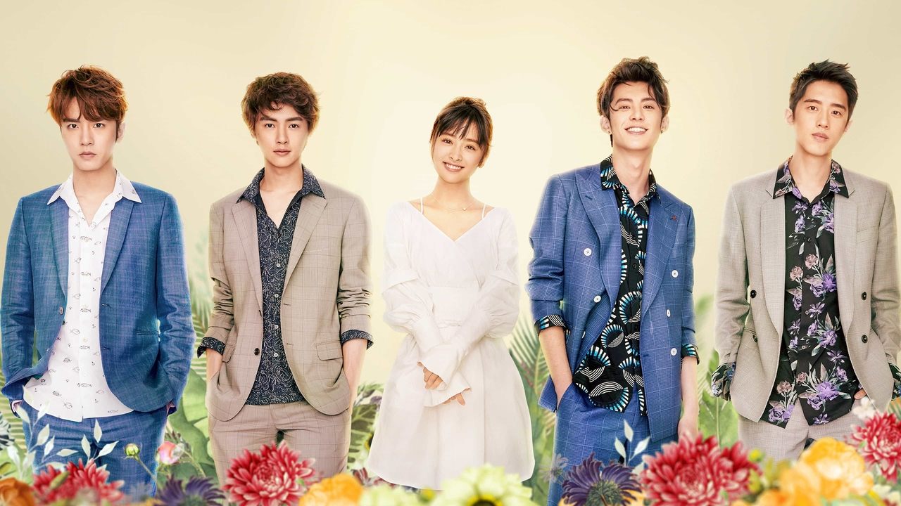 Poster della serie Meteor Garden