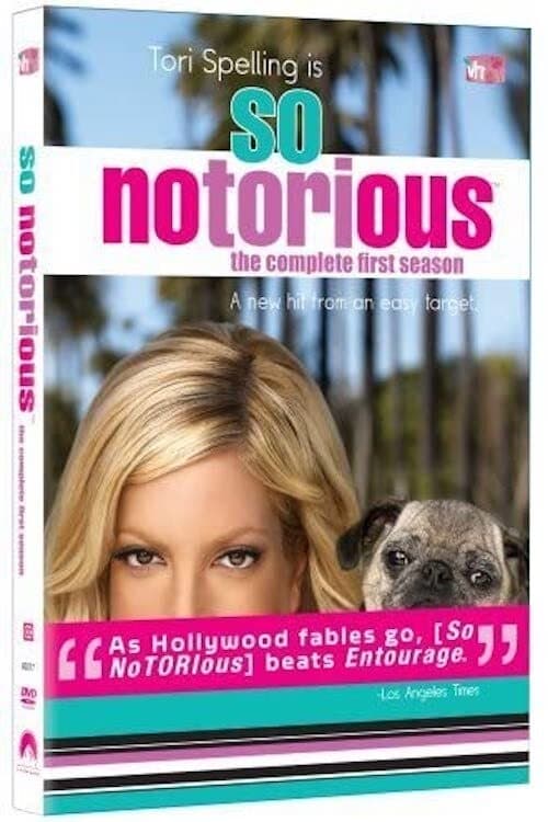 Poster della serie So NoTORIous