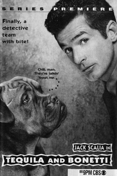 Poster della serie Tequila and Bonetti