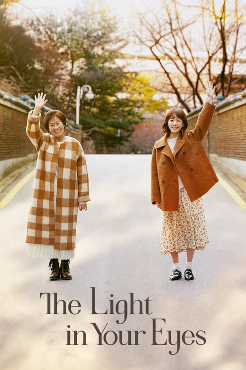 Poster della serie The Light in Your Eyes