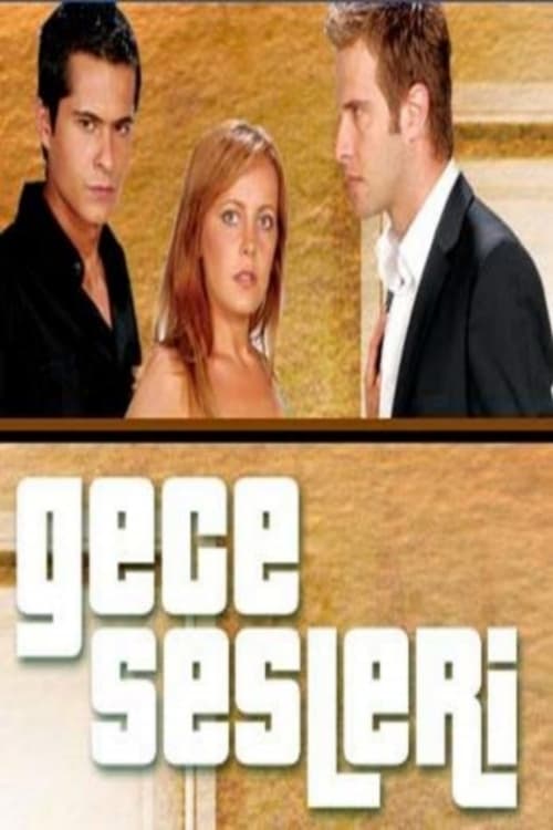 Poster della serie Gece Sesleri