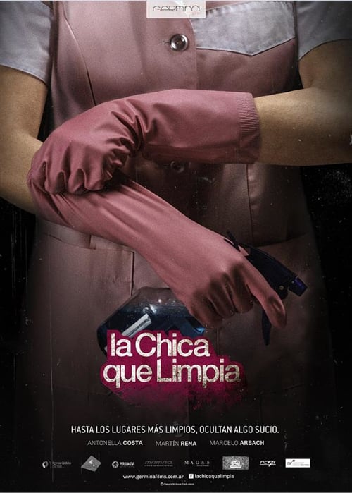 Poster della serie The Cleaning Lady