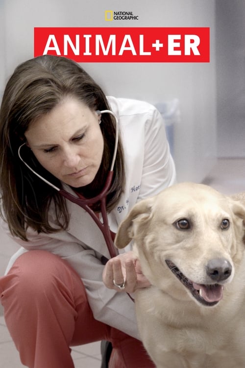 Poster della serie Animal ER