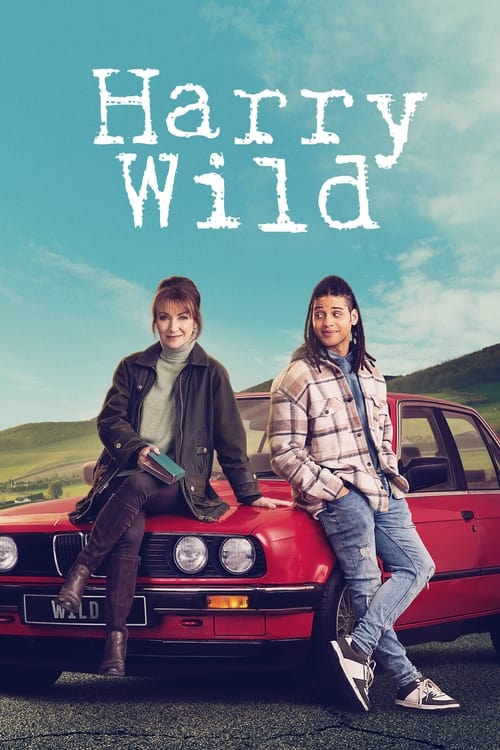 Poster della serie Harry Wild