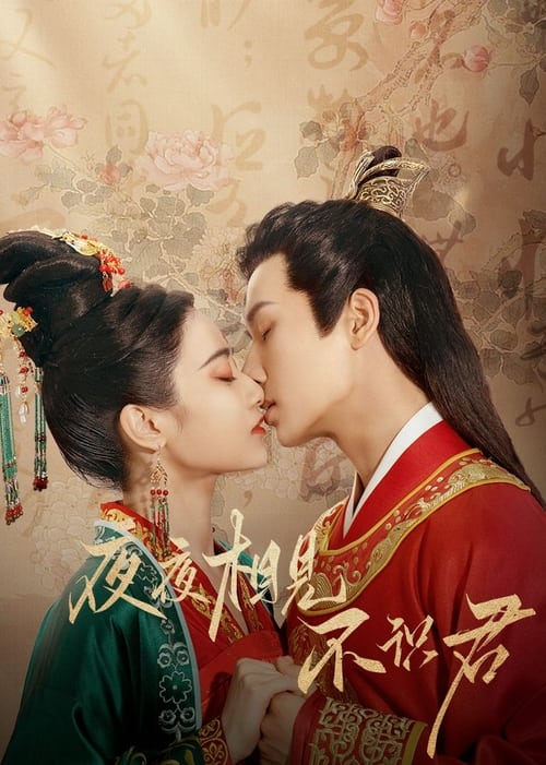 Poster della serie My Decoy Bride