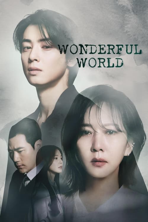 Poster della serie Wonderful World