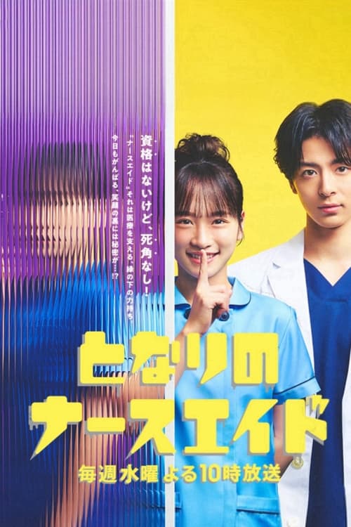 Poster della serie Nursing Aide at Your Side