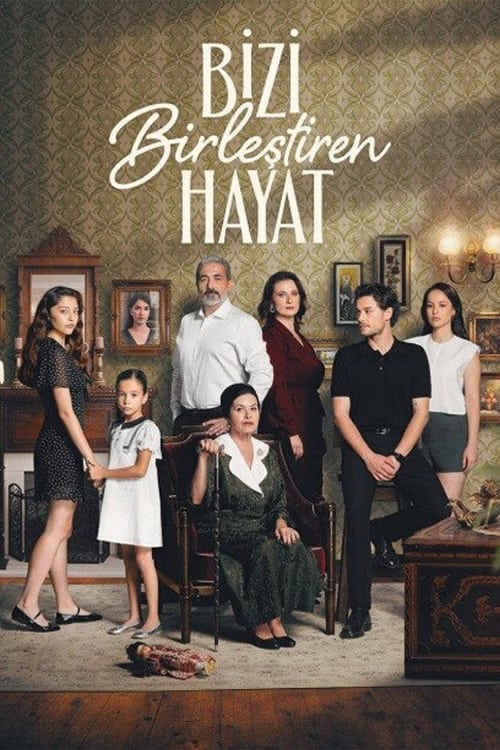 Poster della serie Life That Unites Us