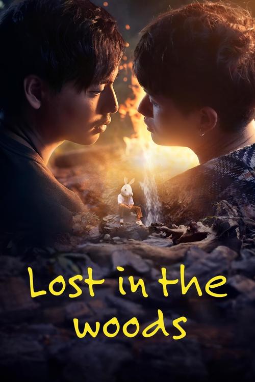 Poster della serie Lost in the Woods