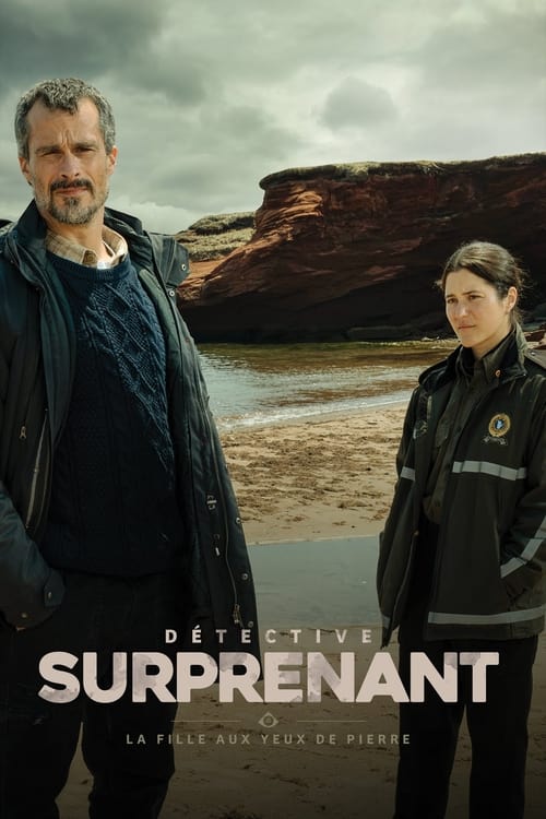 Poster della serie Detective Surprenant