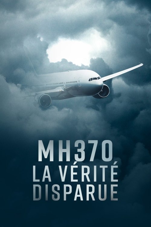 Poster della serie MH370: Missing
