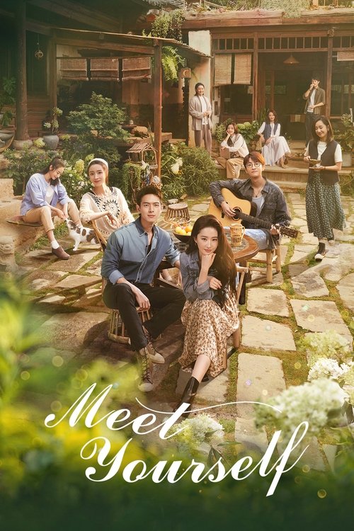 Poster della serie Meet Yourself
