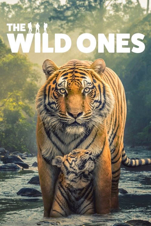 Poster della serie The Wild Ones