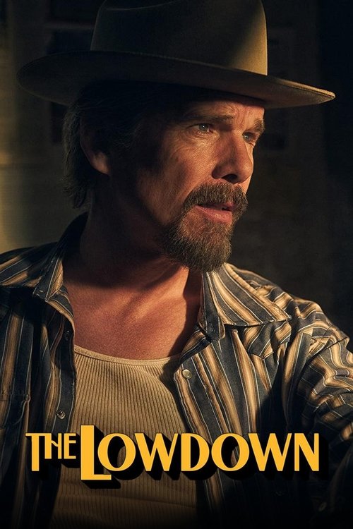 Poster della serie The Lowdown