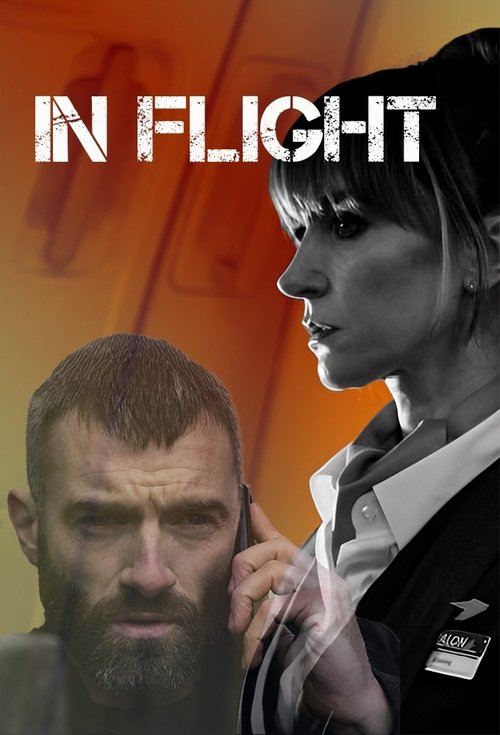 Poster della serie In Flight