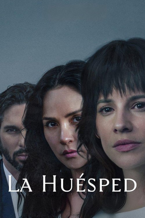 Poster della serie The Guest