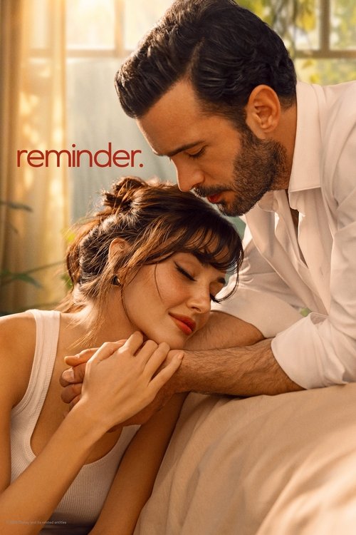 Poster della serie Reminder