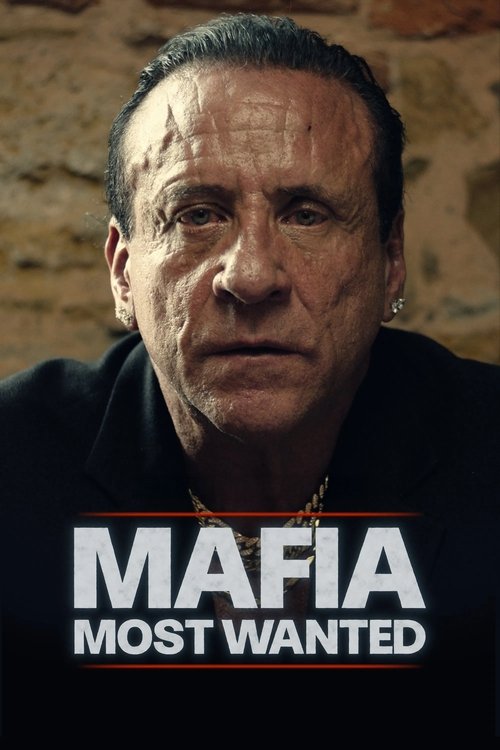 Poster della serie Mafia: Most Wanted