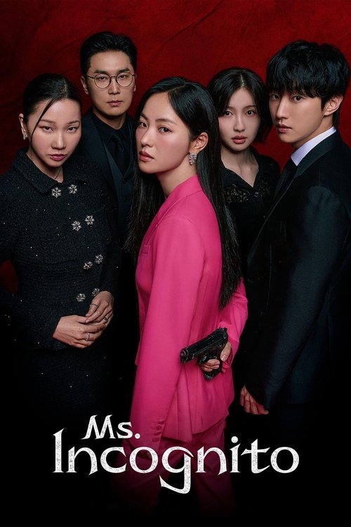 Poster della serie Ms. Incognito