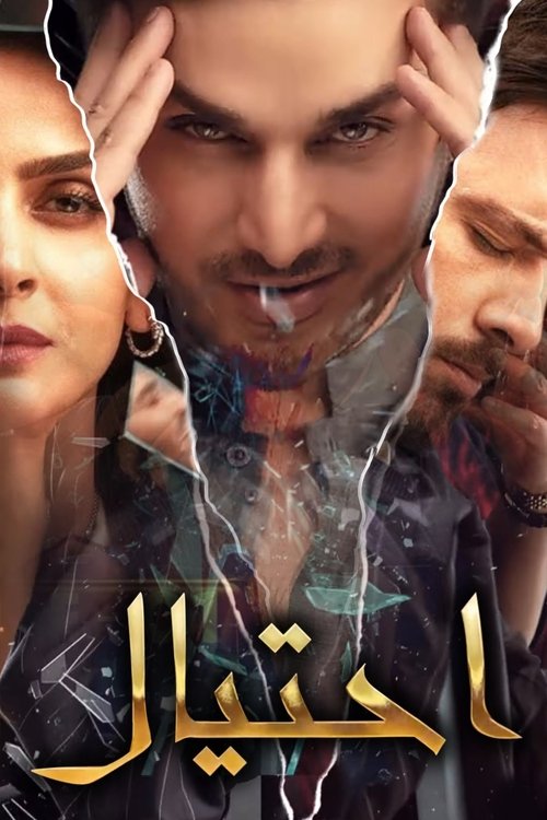Poster della serie Fraud