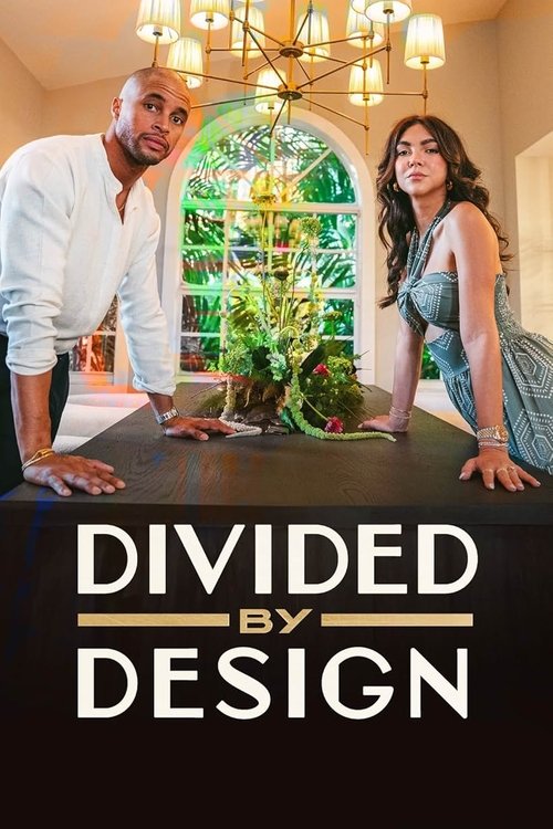 Poster della serie Divided by Design