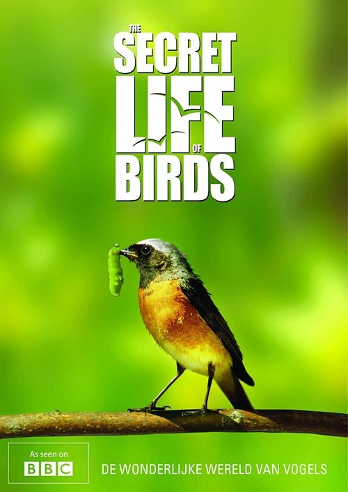 Poster della serie Iolo's Secret Life of Birds
