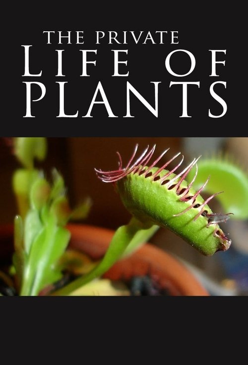 Poster della serie The Private Life of Plants