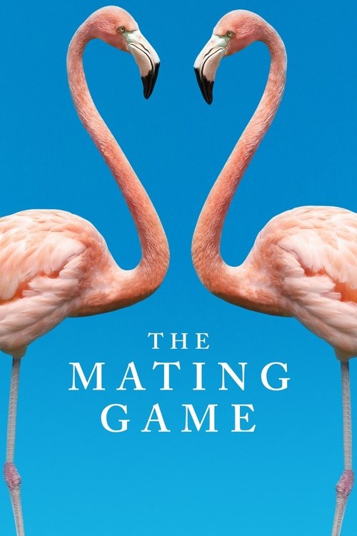 Poster della serie The Mating Game