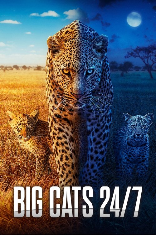 Poster della serie Big Cats 24/7