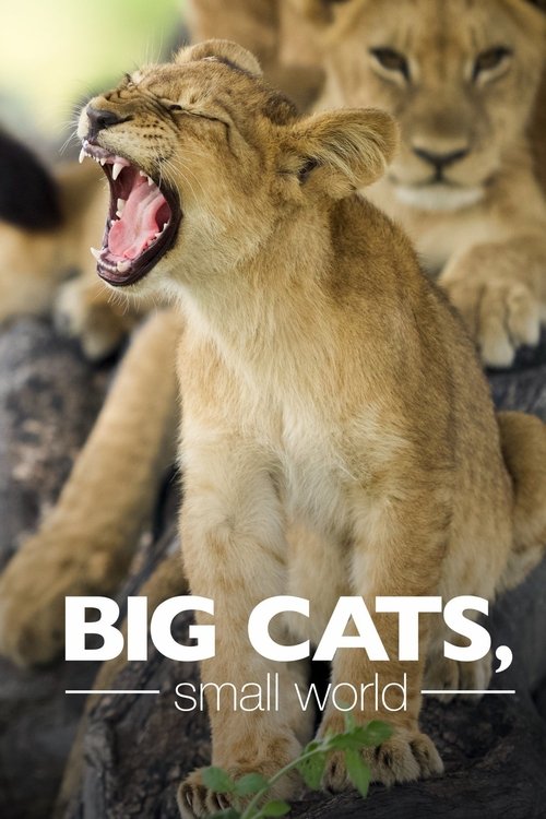 Poster della serie Big Cats, Small World