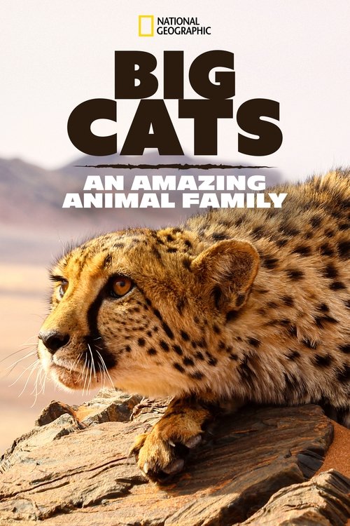 Poster della serie Big Cats: An Amazing Animal Family