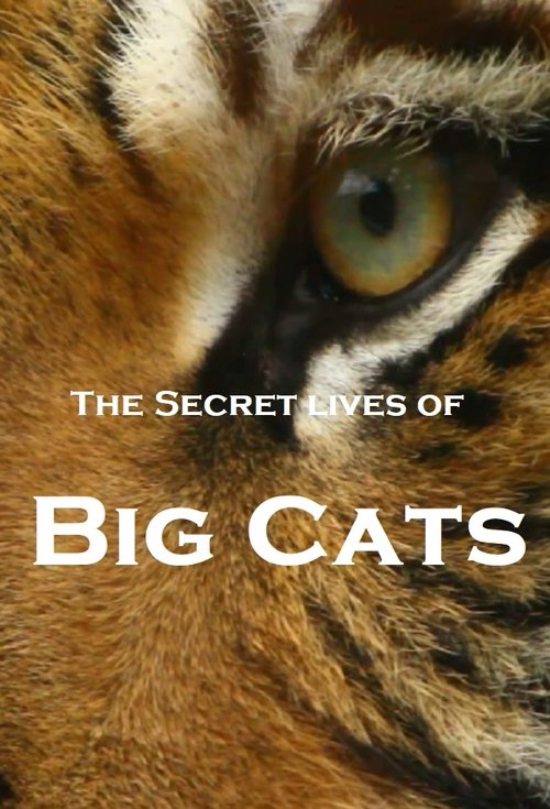 Poster della serie The Secret Lives Of Big Cats
