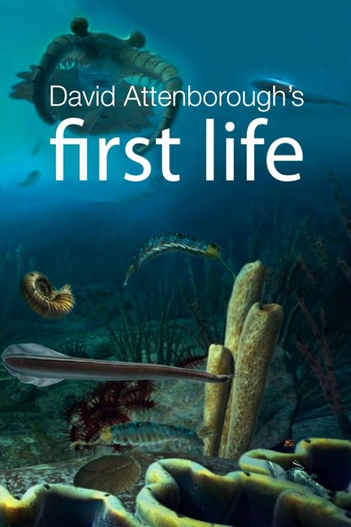 Poster della serie First Life
