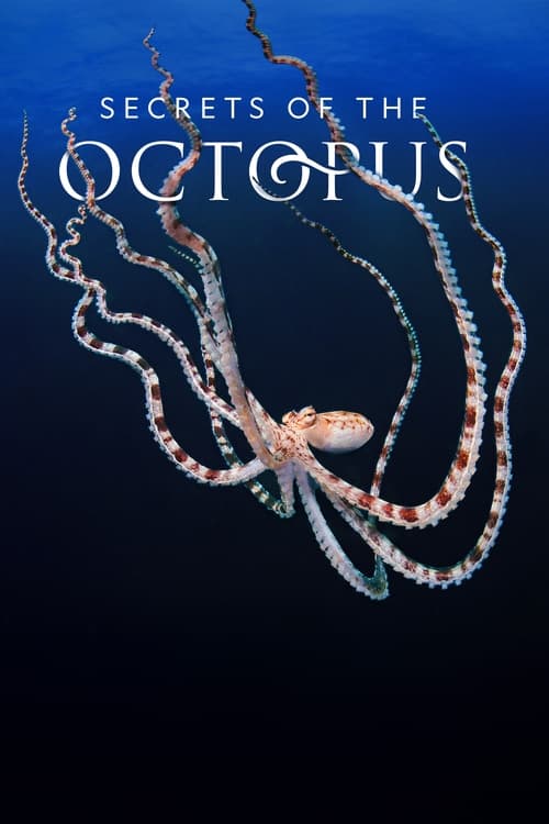 Poster della serie Secrets of the Octopus
