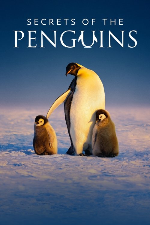 Poster della serie Secrets of the Penguins
