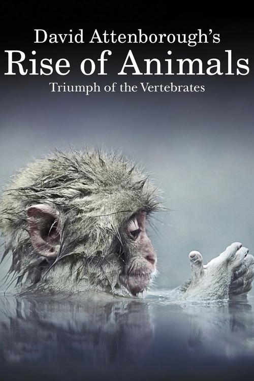 Poster della serie David Attenborough's Rise of Animals: Triumph of the Vertebrates