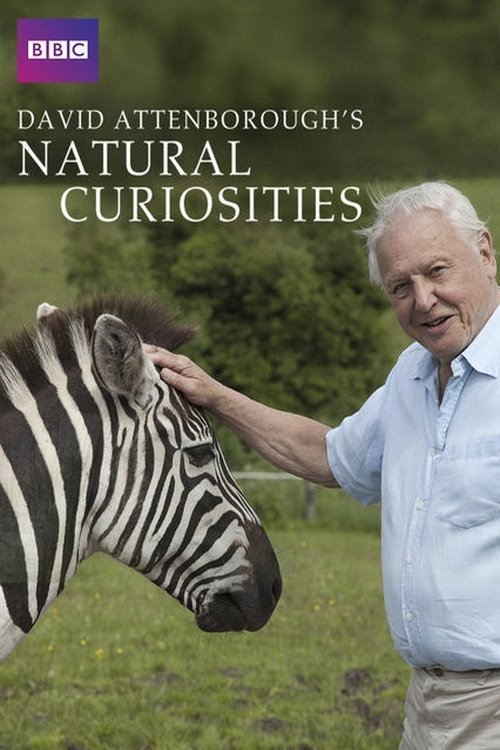 Poster della serie David Attenborough's Natural Curiosities