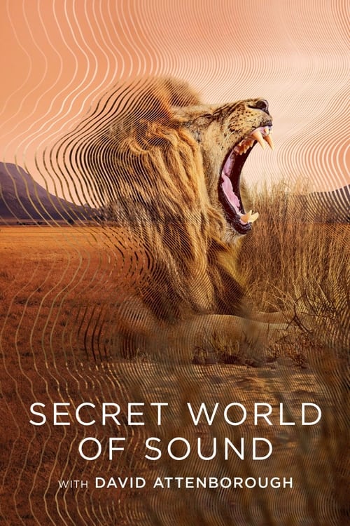 Poster della serie Secret World of Sound