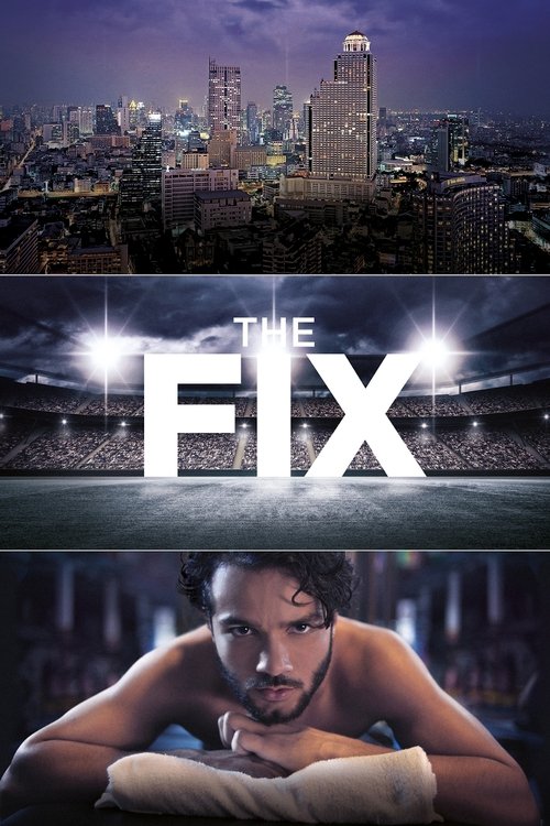 Poster della serie The Fix