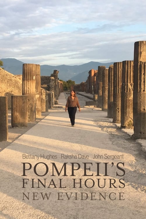 Poster della serie Pompeii's Final Hours: New Evidence