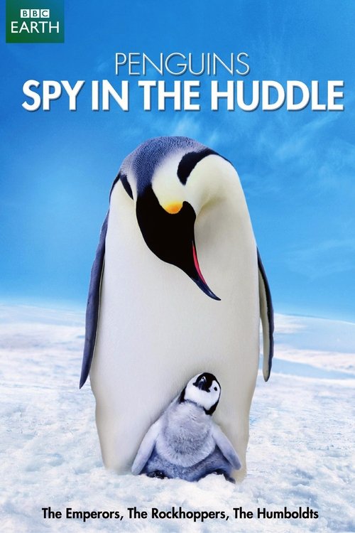 Poster della serie Penguins: Spy in the Huddle