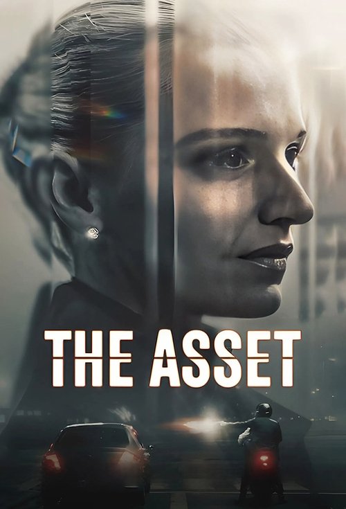 Poster della serie The Asset